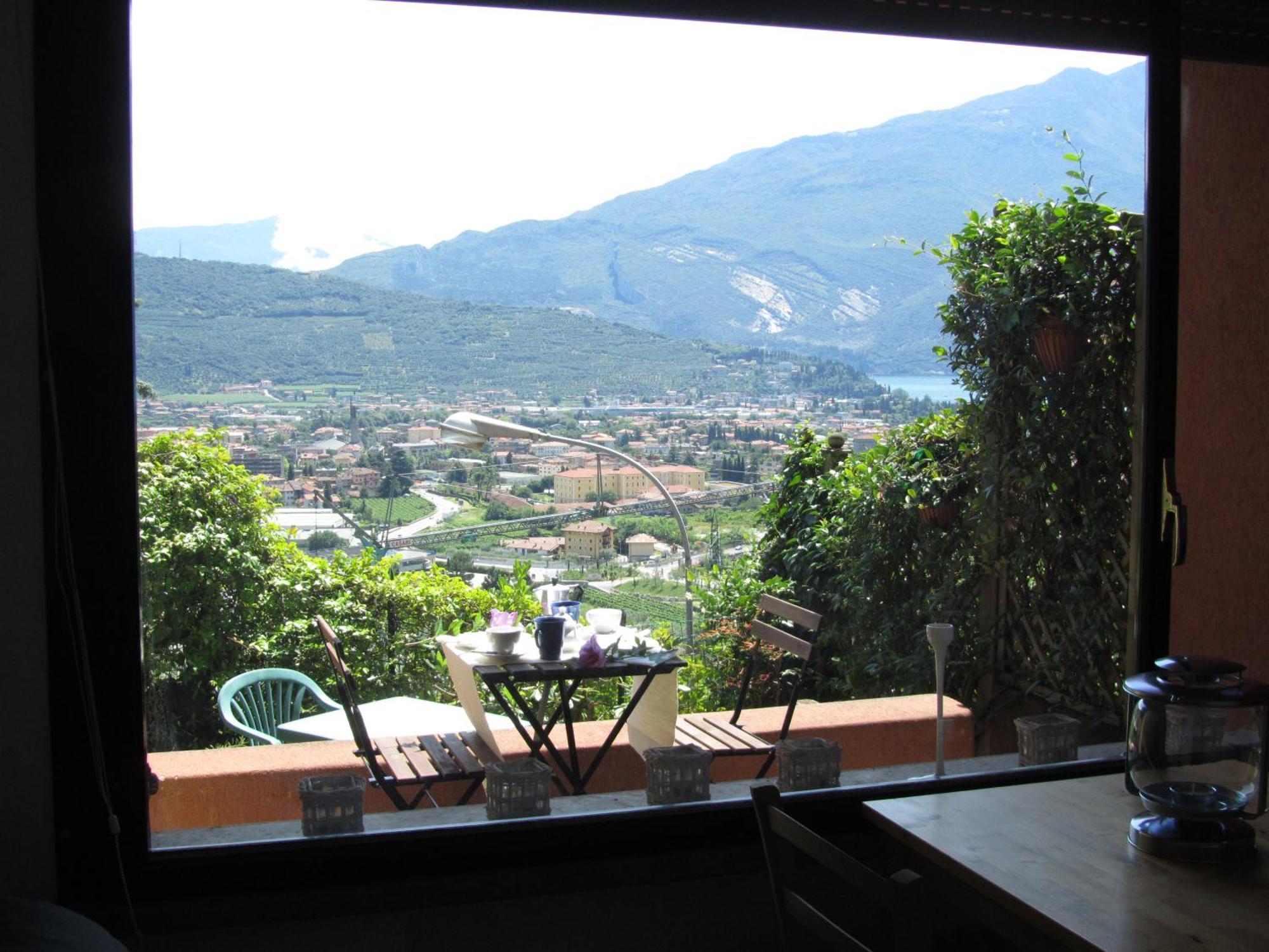Olivo Riva del Garda